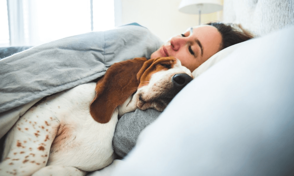 Top 5 : Les conseils pour bien dormir