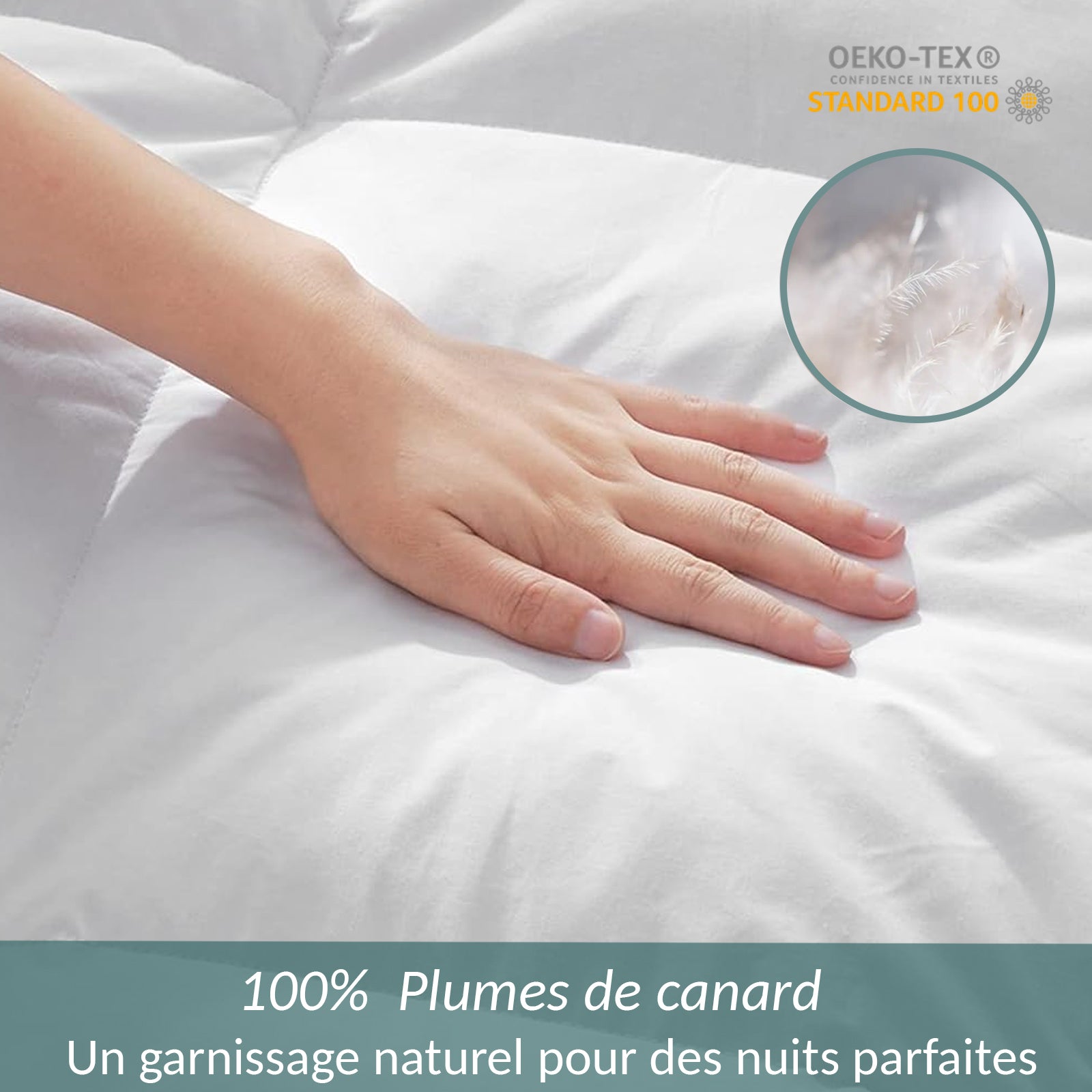 Couette Luxe Plume : 100% plumes et qualité 500 g/m²