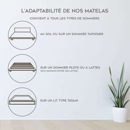 Matelas Nirvana : Mémoire de forme, Ressorts et Latex